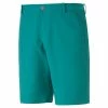 Puma Dealer Shorts - 8 Inch 2 Puma Dealer Shorts - 8 Inch -Golf Clubs Shop puma dealer shorts 8 inch green lagoon 01 45074.1678213419