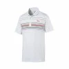 Puma Mattr Canyon Polo -Golf Clubs Shop puma mattr canyon polo white ski patrol 01 01051.1662137881
