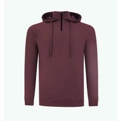 SWANNIES VanDyke Hoodie -Golf Clubs Shop swannies vandyke hoodie maroon 01 80897.1679426278